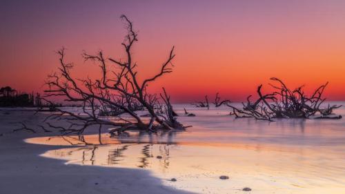 博尼亚德海滩上的漂流木, 亨廷岛, 南卡罗来纳州, 美国 (© Frances/Adobe Stock) Bing Everyday Wallpaper 2026-06-27
/tmp/UploadBeta0jlaDs [Bing Everyday Wall Paper 2026-06-27] url = http://www.bing.com/th?id=OHR.BoneyardBeach_ZH-CN5540590570_1920x1080.jpg

File Size (KB): 318.16 KB
Last Modified: June 27 2026 00:00:02
